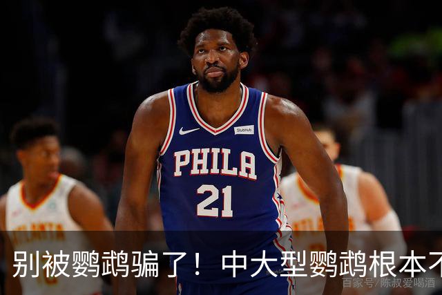 别被鹦鹉骗了！中大型鹦鹉根本不是宠物，是会飞的野生猛禽！